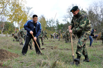 Militarii Armatei Naţionale au plantat  trei mii de arbori şi arbuşti