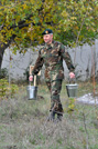 Militarii Armatei Naţionale au plantat  trei mii de arbori şi arbuşti