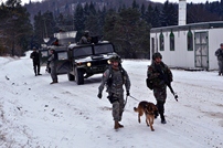 Trupele de elită ale Armatei Naţionale se antrenează la Hohenfels