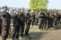 Militarii Armatei Naţionale participă la exerciţiul Scutul Păcii - 2014