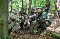 Militarii Armatei Naţionale se antrenează în Germania