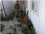 EOD Engineers from KFOR-V Contingent Conduct “Dog Tail Operation”