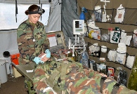 Personalul medical al armatei, felicitat cu ocazia Zilei Profesionale