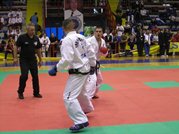 Sportivii militari au cîştigat 8 medalii la Campionatul European la Taekwon-do ITF