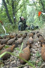 Geniştii Armatei Naţionale au nimicit peste 2260 obiecte explozive