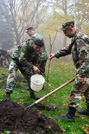 Militarii Armatei Naţionale participă la acţiunile de înverzire a plaiului