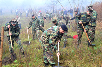 Militarii Armatei Naţionale participă la acţiunile de înverzire a plaiului