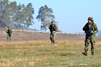 National Army Servicemembers at Multinational Exercises in Germany and Romania