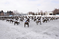 National Army Joins the 22 Push-up Challenge 