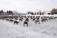 National Army Joins the 22 Push-up Challenge 