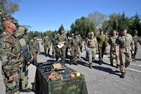 Ataşaţii militari au vizitat  Brigada “Dacia”