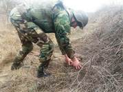Ammunition Arsenal Destroyed by Military Engineers in Causeni