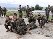 Contingentul KFOR-11 execută misiuni specifice mandatului în Kosovo