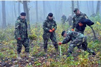 The Military of the National Army planted trees on the National Afforestation Day 