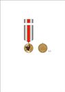 Proiectul de lege privind instituirea Medaliei comemorative „75 de ani de la victoria în cel de-al Doilea Război Mondial”, aprobat de Guvern