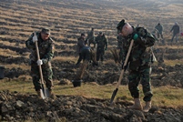 Militarii Armatei Naționale participă la Campania națională de înverzire a plaiului