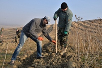 The Military of the National Army Participate at the national campaign for expanding green areas (video)