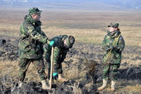 Militarii Armatei Naționale participă la Campania națională de înverzire a plaiului