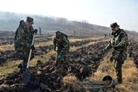 Militarii Armatei Naționale participă la Campania națională de înverzire a plaiului