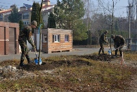 The Military of the National Army Participate at the national campaign for expanding green areas (video)