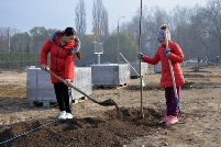 Militarii Armatei Naționale participă la Campania națională de înverzire a plaiului