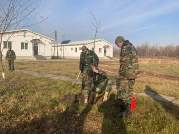 Militarii Armatei Naționale participă la Campania națională de înverzire a plaiului