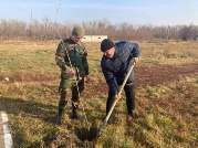 Militarii Armatei Naționale participă la Campania națională de înverzire a plaiului