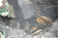 21 Mines Liquidated in Hincesti District 