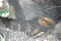 21 de mine neutralizate în raionul Hînceşti